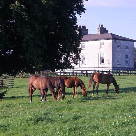 Glebe House Guest House Taghshinny Exterior foto