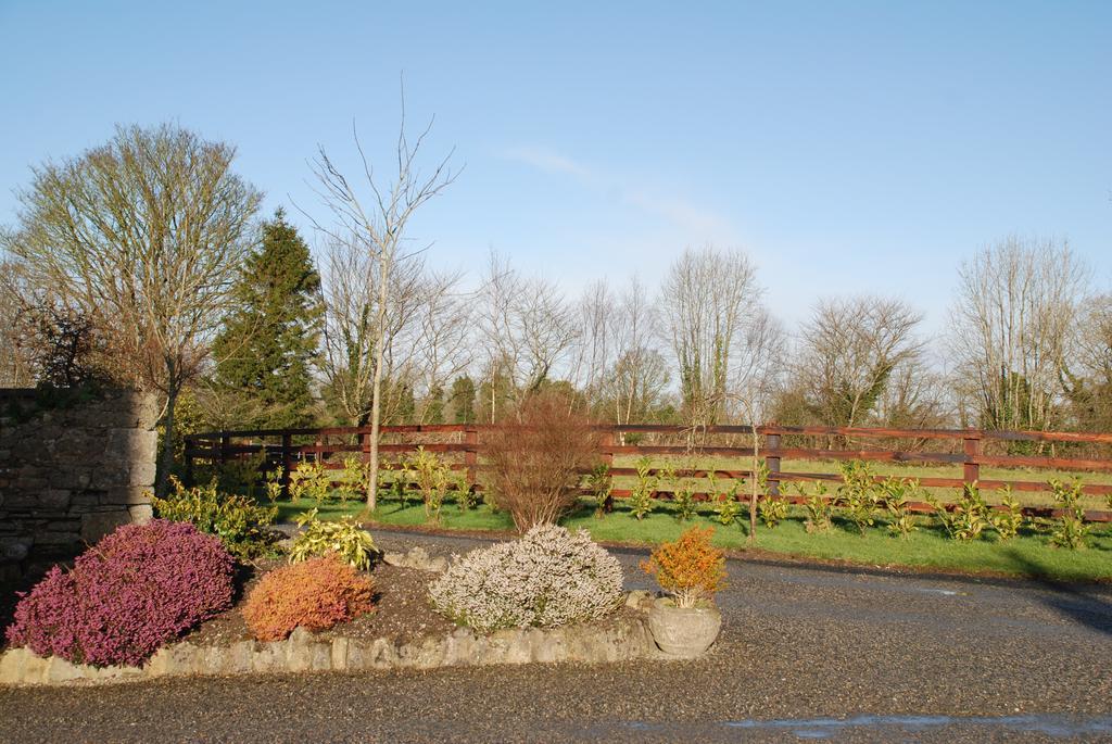 Glebe House Guest House Taghshinny Exterior foto