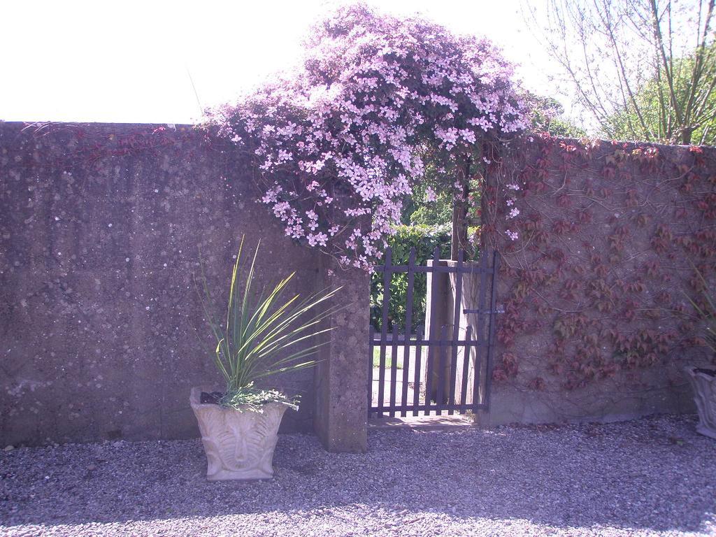 Glebe House Guest House Taghshinny Exterior foto